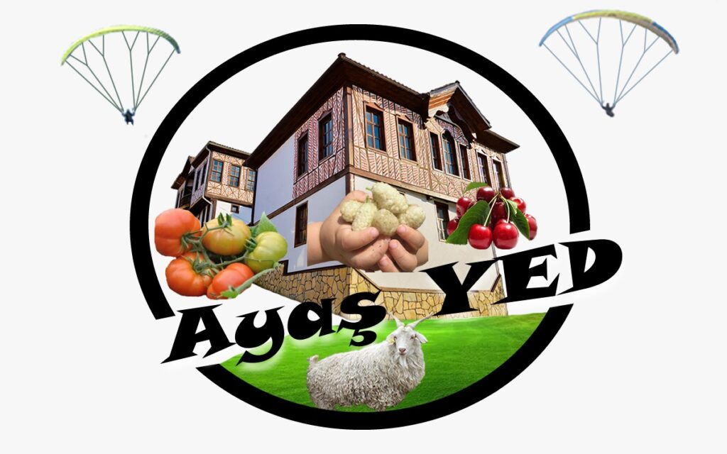 ARAÇ LASTİĞİ ALIMI