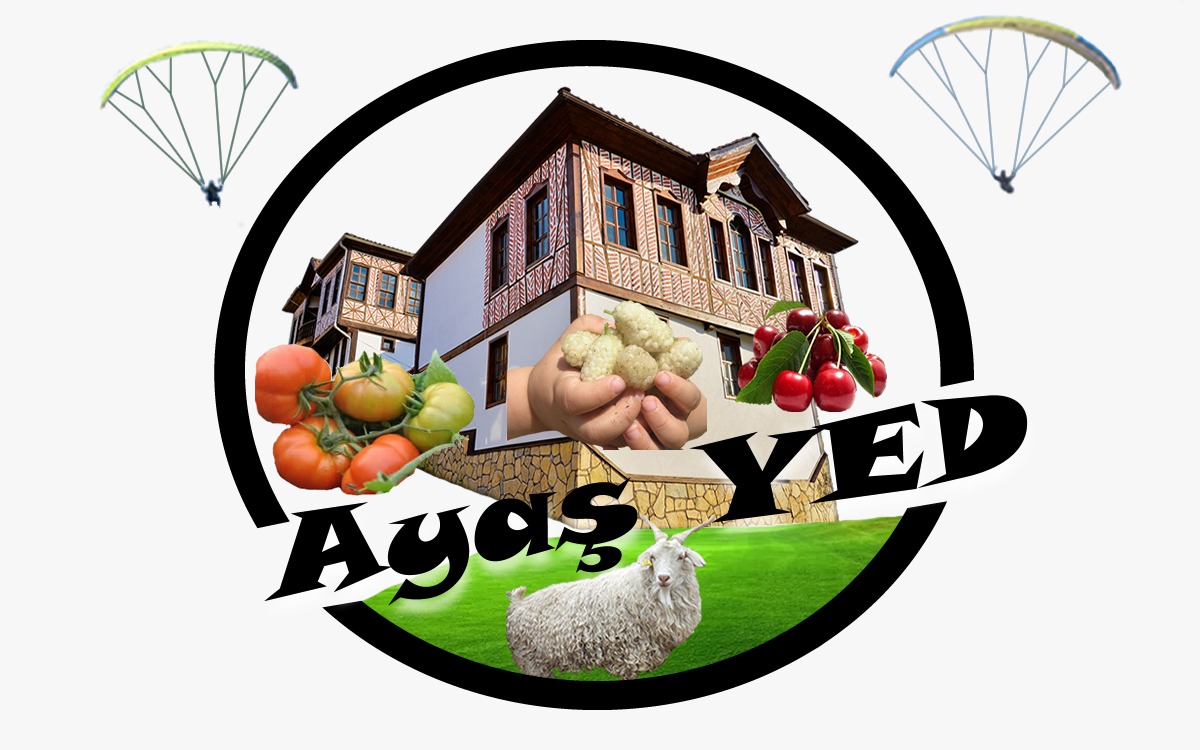 Ayaş Yerel Eylem Derneği Ayaş Yeg